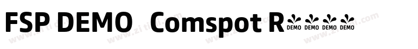 FSP DEMO   Comspot R字体转换